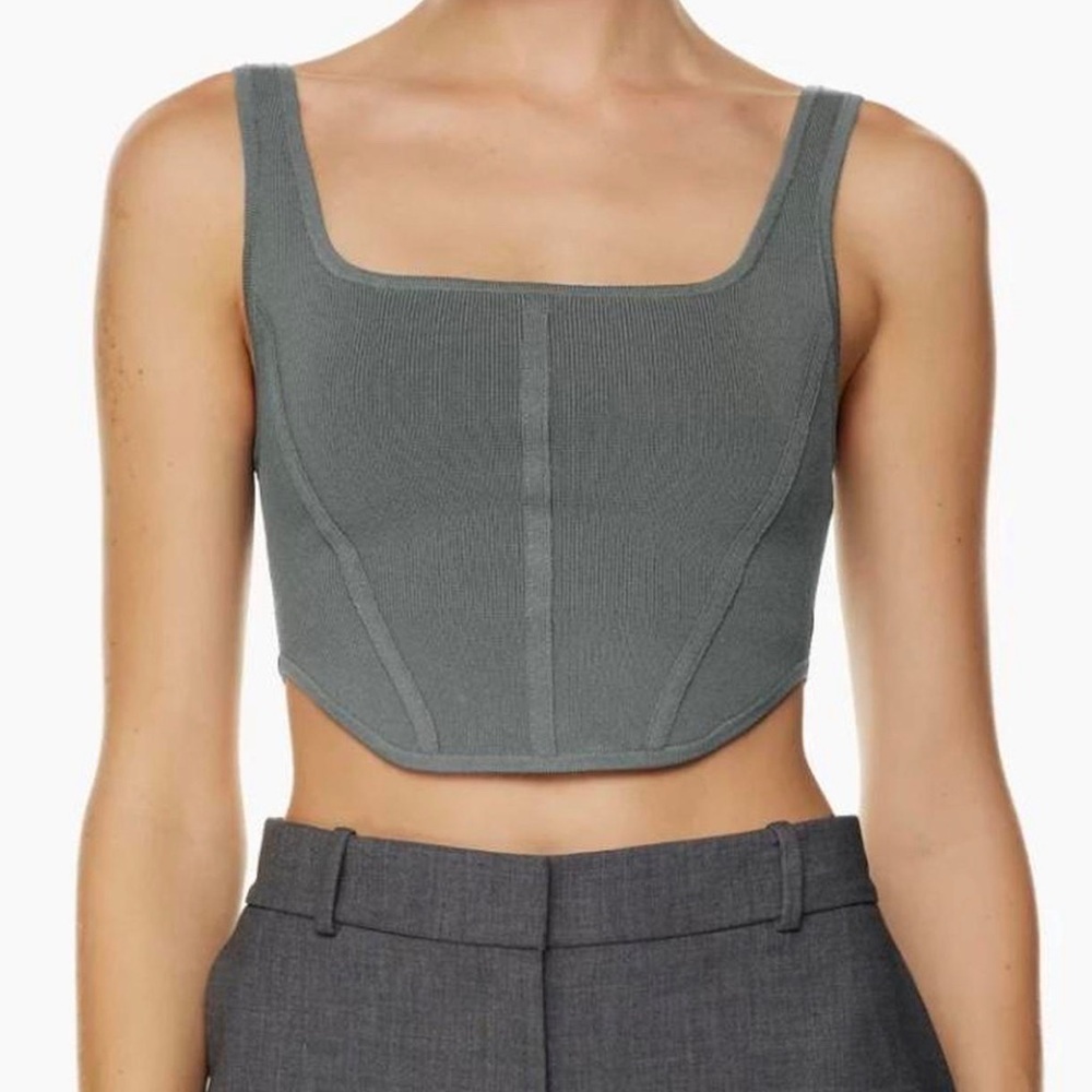 Aritzia (Babaton) Sculpt Knit Bustier Tank.
